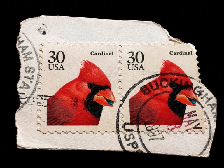 USA Cardinal stamp 1991 — pair of 30-cent Northern Cardinal definitive stamps with Buckingham, Virginia postmark