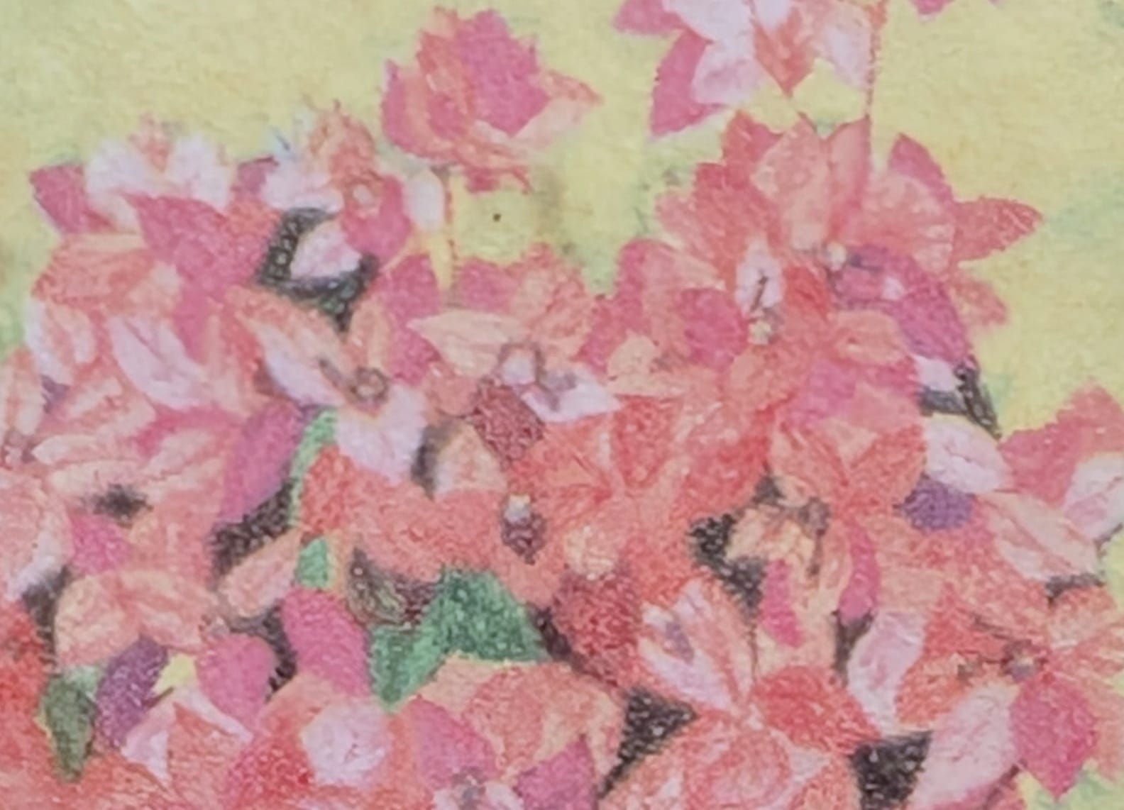 Macro of the coral-pink papery bracts on the 1985 India Bougainvillea stamp, each cluster of three bracts framing the tiny true flowers at its centre