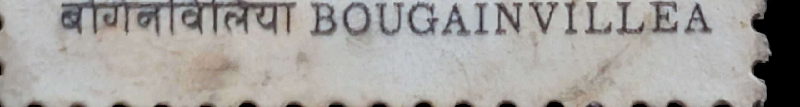 Macro of the bilingual caption band reading बोगेनविलिया above BOUGAINVILLEA on the 1985 India stamp