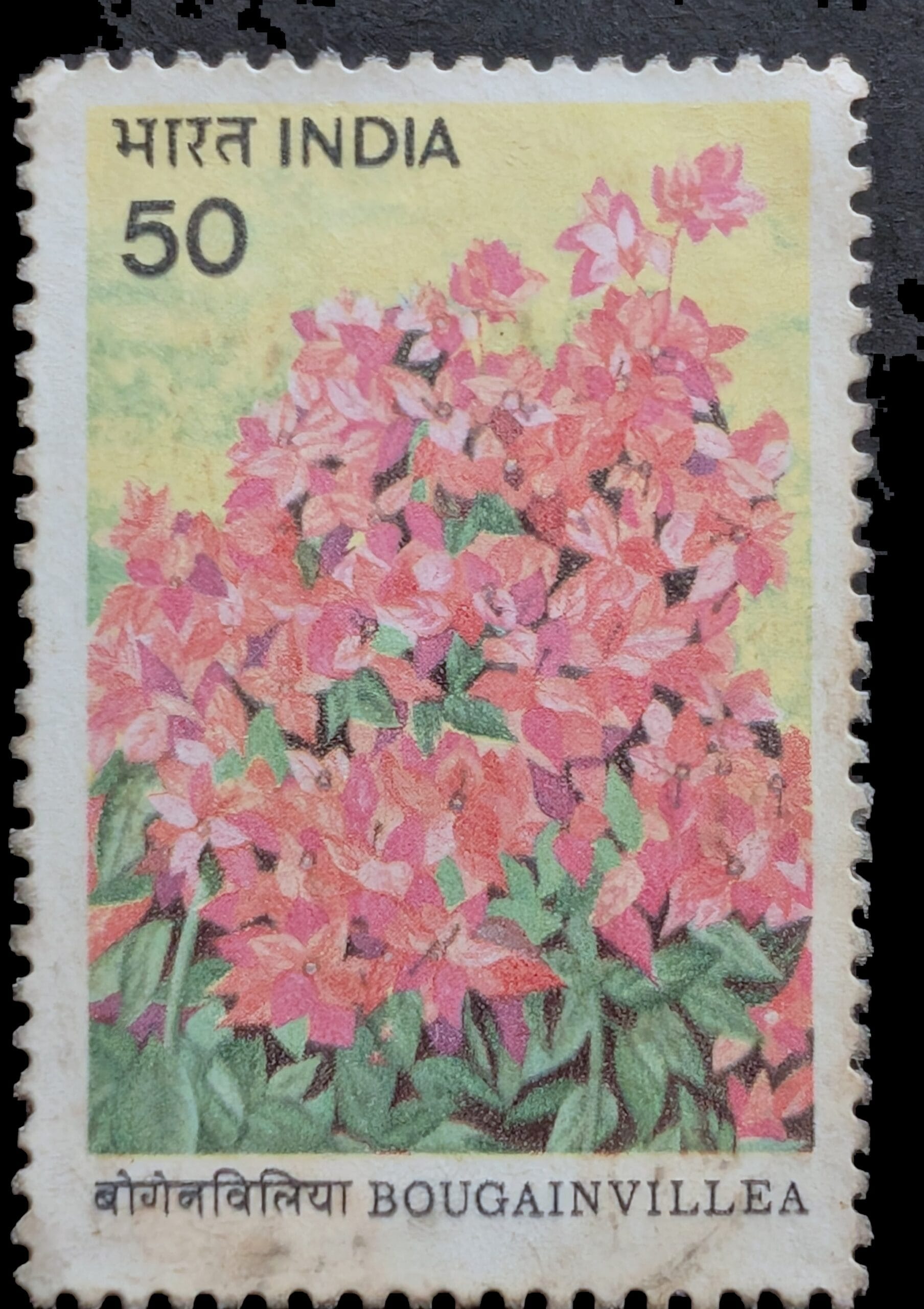 The complete 1985 India Bougainvillea stamp, 50 paise, a mass of coral-pink Mahara bracts over green leaves above the bilingual BOUGAINVILLEA caption