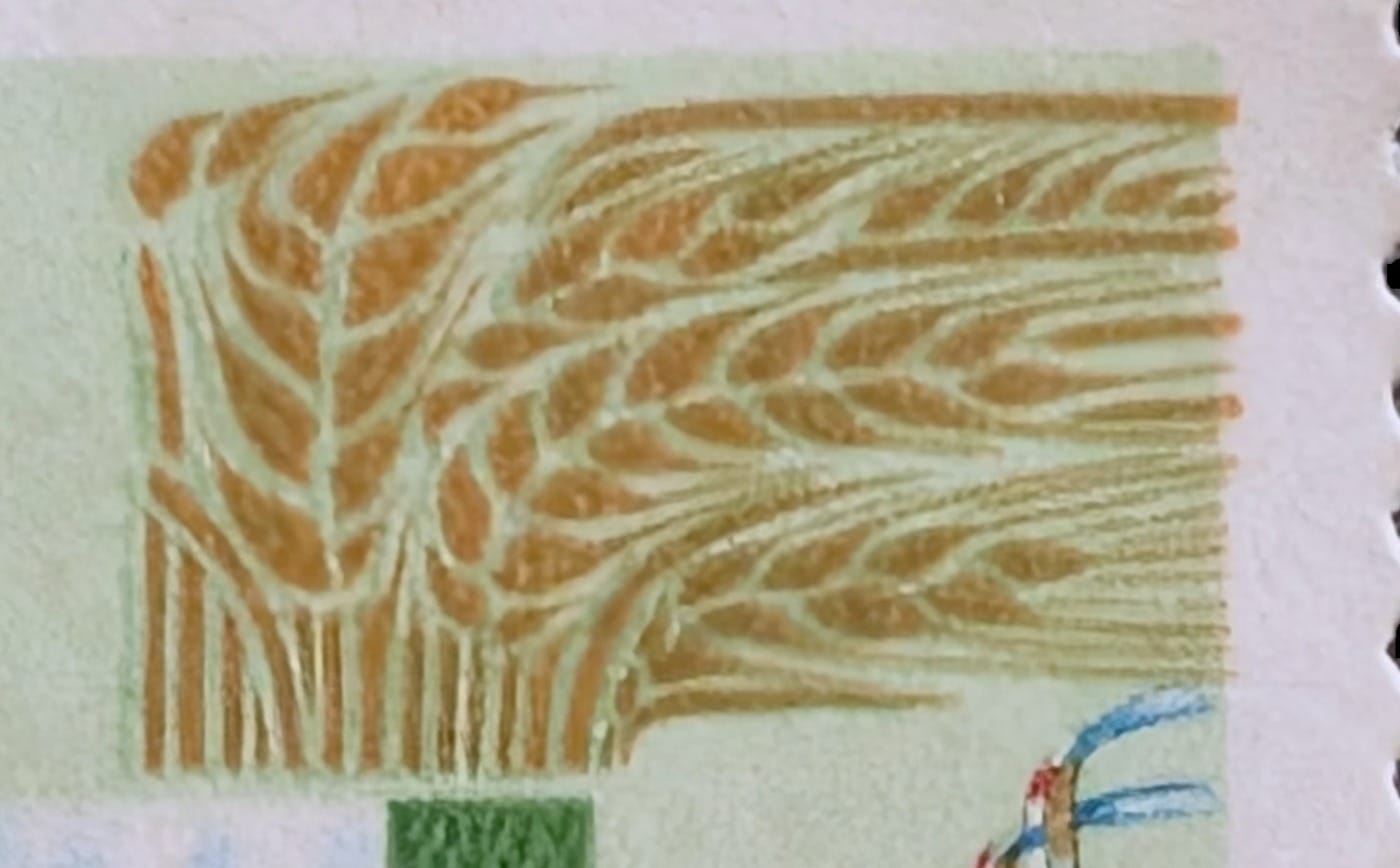 Macro of the golden wheat ears in the upper right of the 1996 India Crop Science Congress stamp, drawn in fine engraved lines