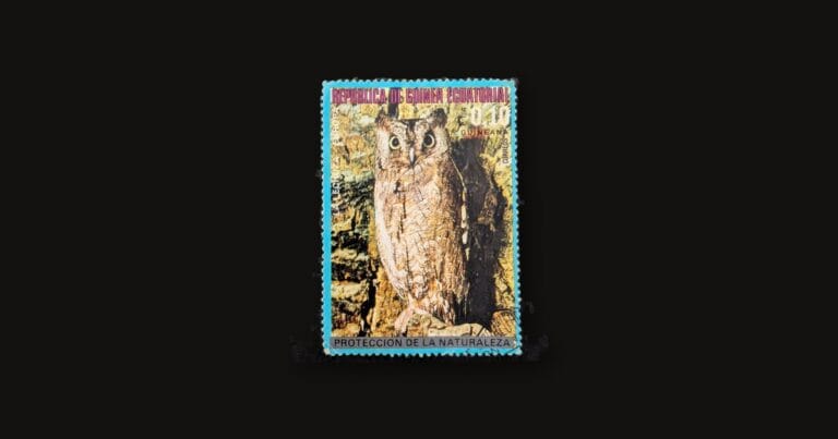 Equatorial Guinea owl stamp on a dark background, the 1970s 0,10 peseta nature-protection issue