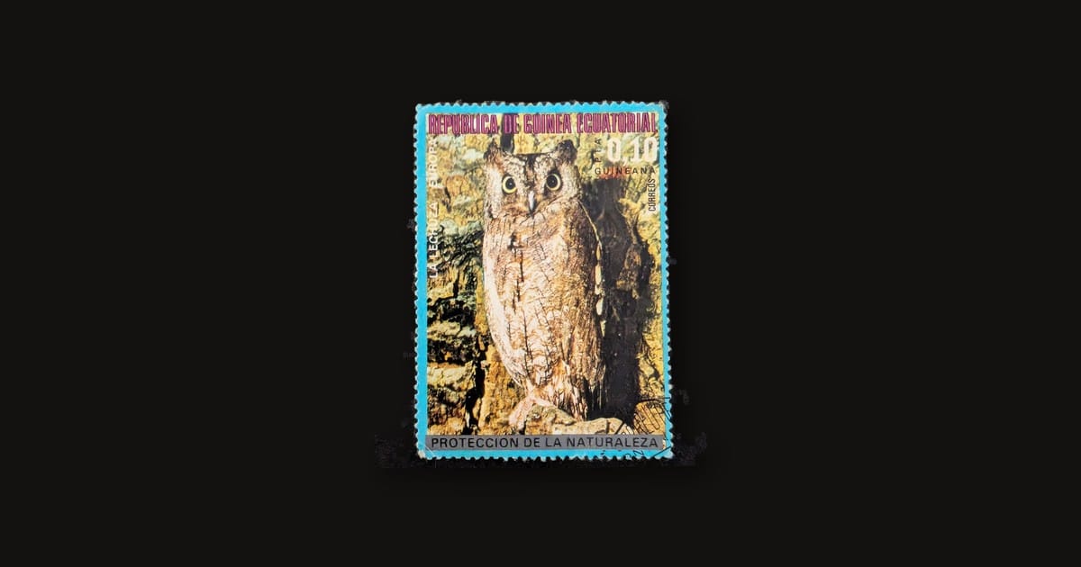 Equatorial Guinea owl stamp on a dark background, the 1970s 0,10 peseta nature-protection issue