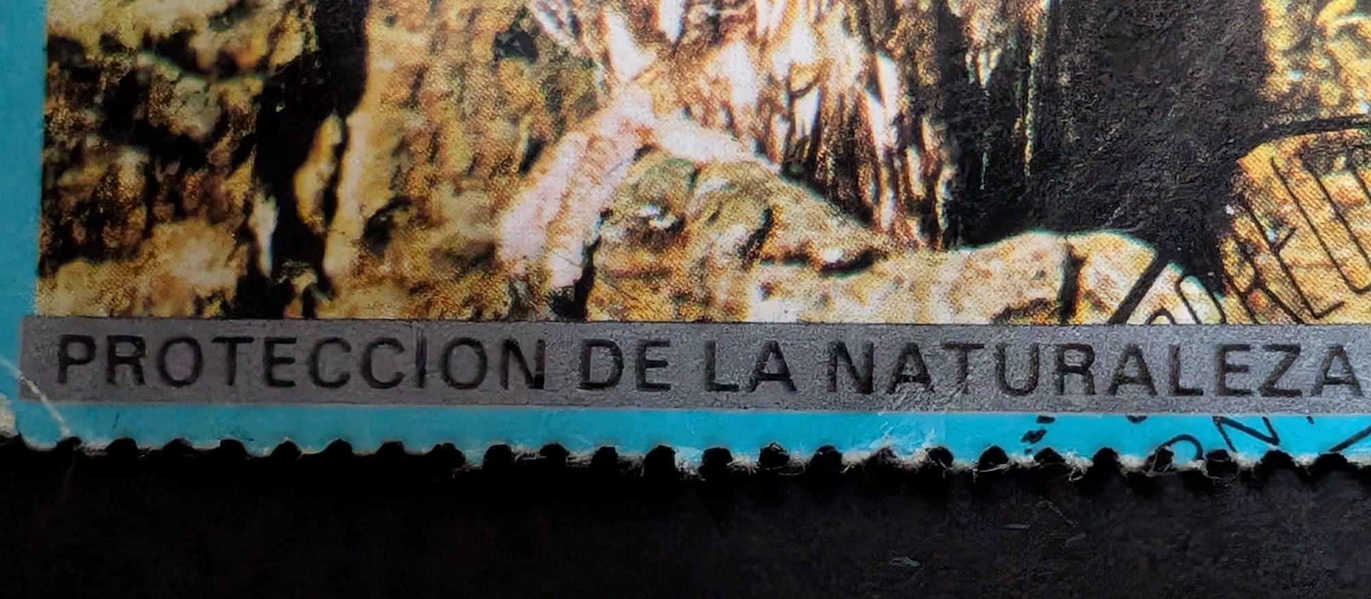 Macro of the silver Proteccion de la Naturaleza band at the base of the Equatorial Guinea owl stamp