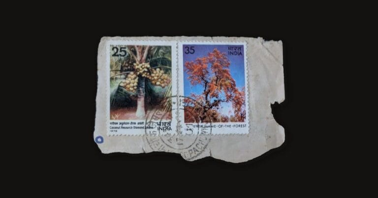 Two used Indian stamps on a torn envelope corner, the 25 paise Coconut Research palm of 1976 beside the 35 paise Flame of the Forest tree of 1981, tied by one circular postmark