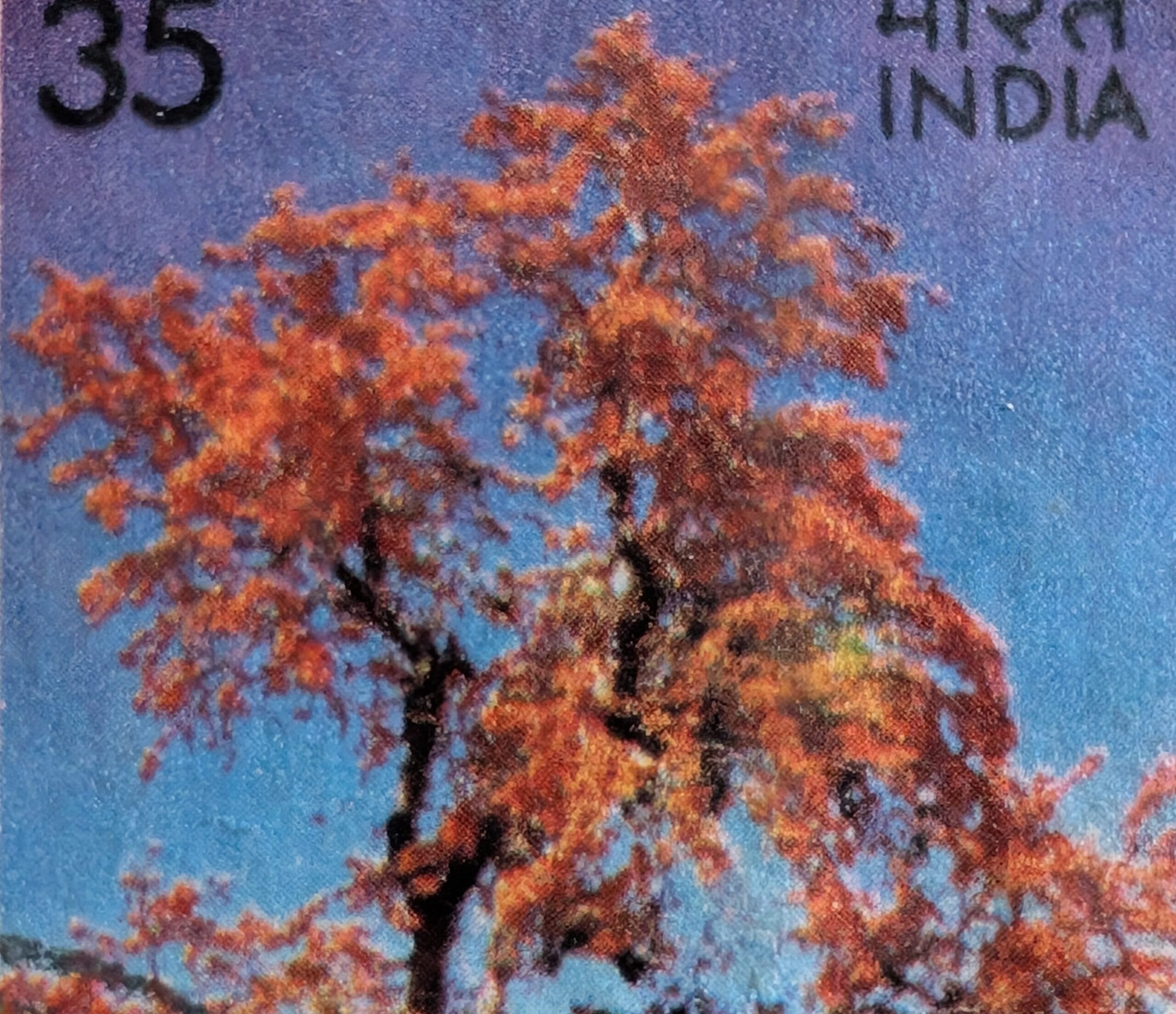 Macro of the Flame of the Forest stamp crown, orange-vermilion blossom over dark crooked bare branches against blue sky, the 35 paise value and INDIA visible top corners
