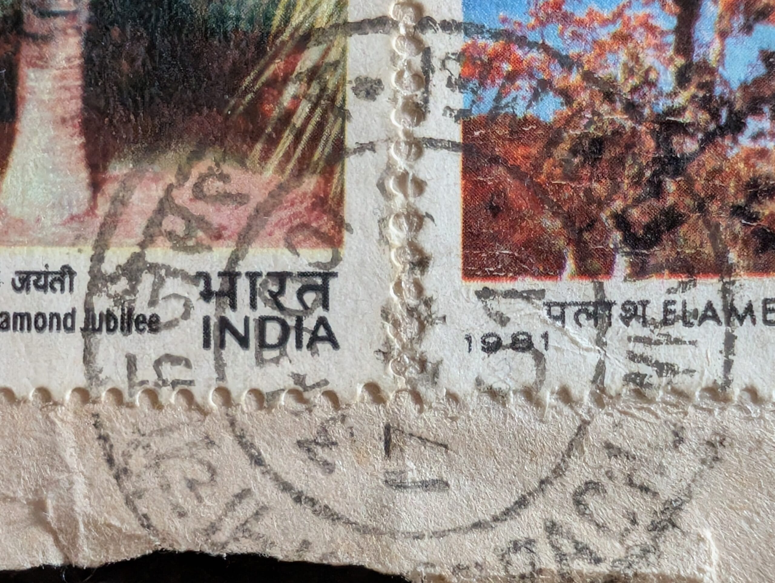 Macro of the perforated gutter between the two stamps, a circular datestamp crossing the cover paper and both inner edges, with the year 1981 and भारत INDIA visible