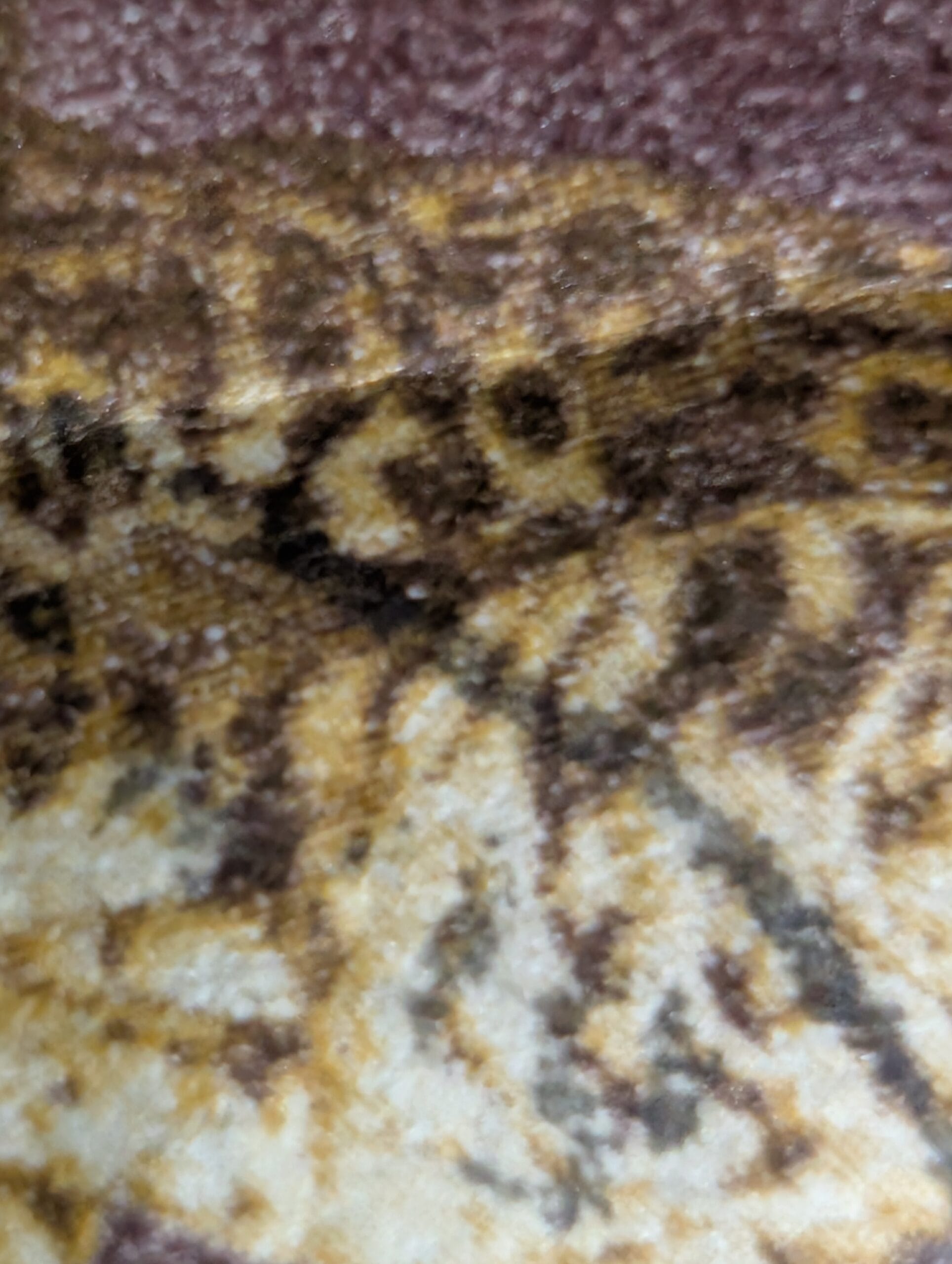 Macro detail of the Leopard Cat stamp showing the spotted, streaked coat in ochre over cream, the markings that make the small cat resemble a leopard.