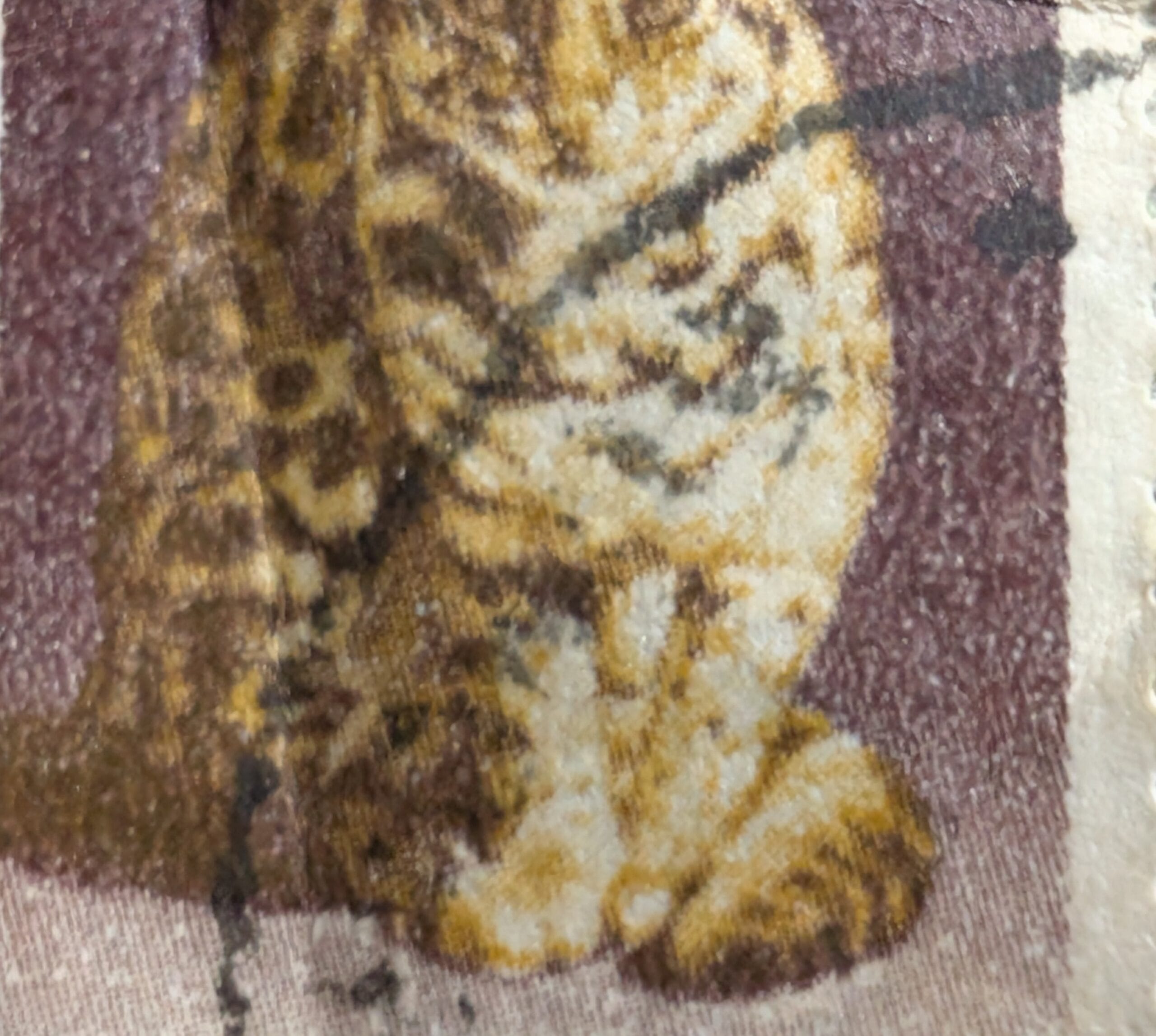 Macro detail of the used Leopard Cat definitive showing a diagonal ink cancellation and a horizontal crease across the cat's body.