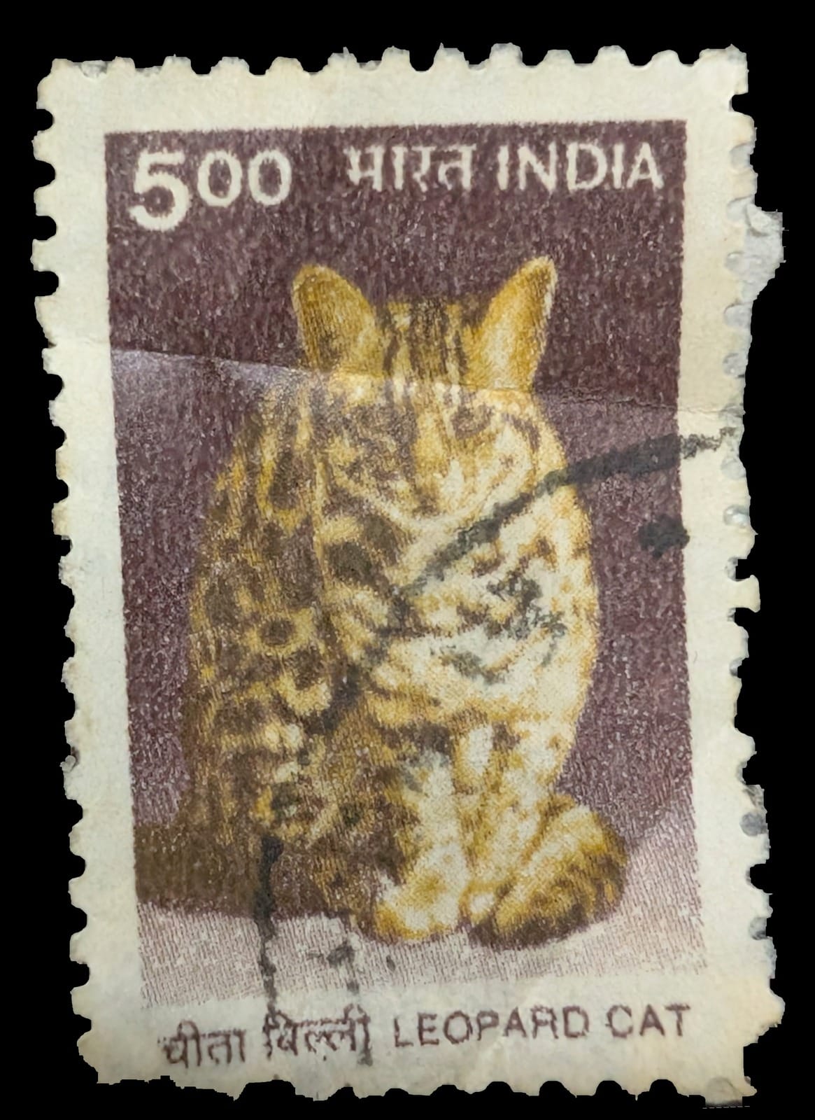 Used India five-rupee Leopard Cat stamp from the 2000 Flora and Fauna definitives, the small spotted wild cat seated against a muted aubergine ground.
